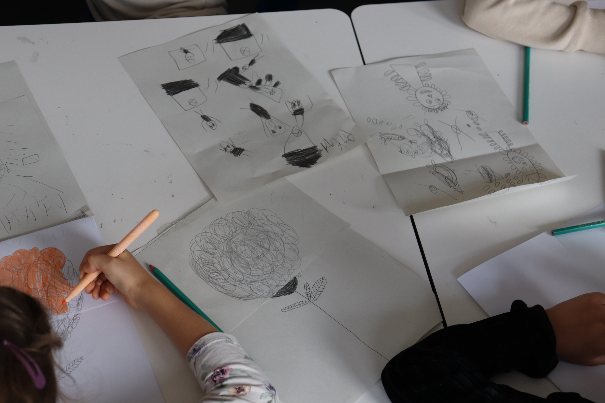 20251010160213_IMG_9002